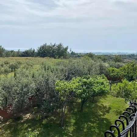 Ormanin Icinde Genis Havuzlu Triplex Manavgat