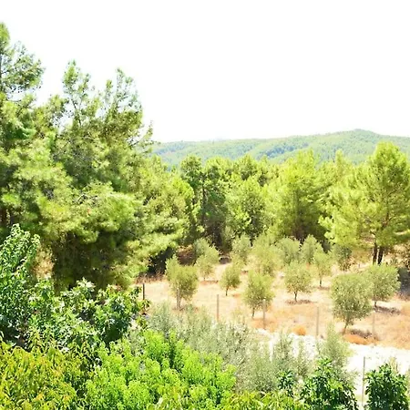 Feriehus Ormanin Icinde Genis Havuzlu Triplex *