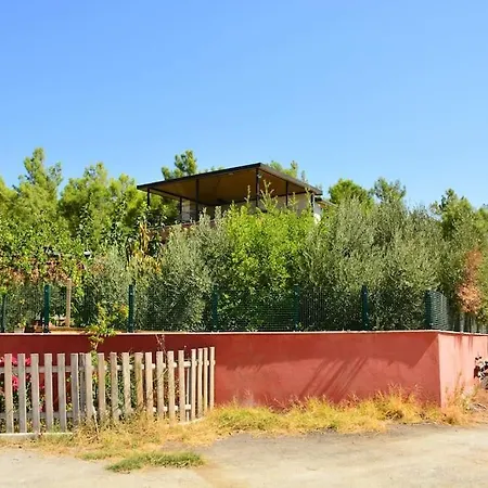 Ormanin Icinde Genis Havuzlu Triplex Feriehus *