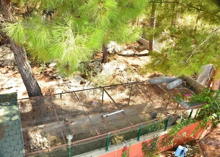 Дом отдыха Ormanin Icinde Genis Havuzlu Triplex *