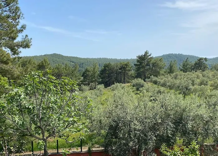 Дом отдыха Ormanin Icinde Genis Havuzlu Triplex Манавгат