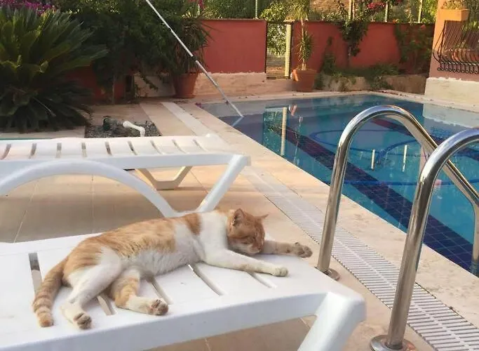 Ormanin Icinde Genis Havuzlu Triplex Дом отдыха *