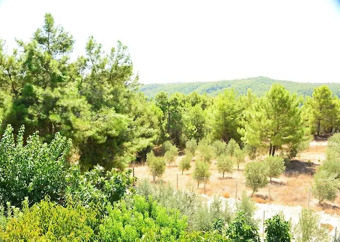 Дом отдыха Ormanin Icinde Genis Havuzlu Triplex *