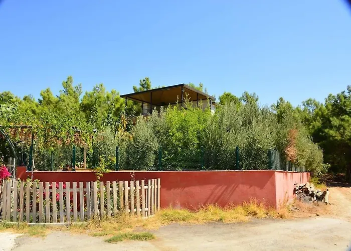 Ormanin Icinde Genis Havuzlu Triplex Дом отдыха *